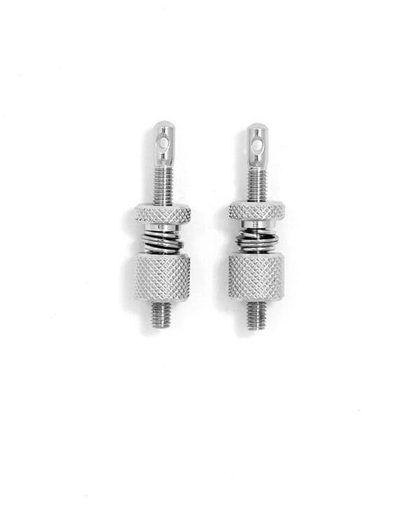 A pair of metal screws on a white background.