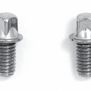 A pair of stainless steel screws on a white background.