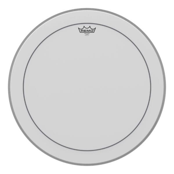 A drum head with a white background.