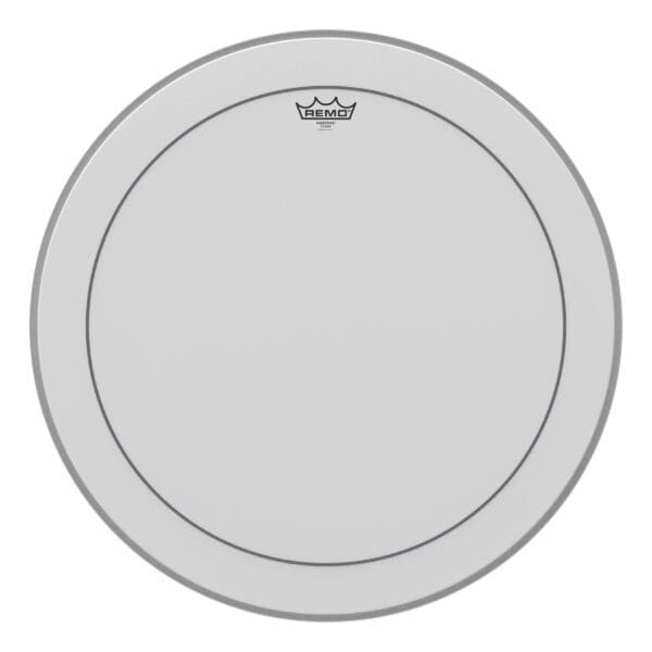 A drum head with a white background.