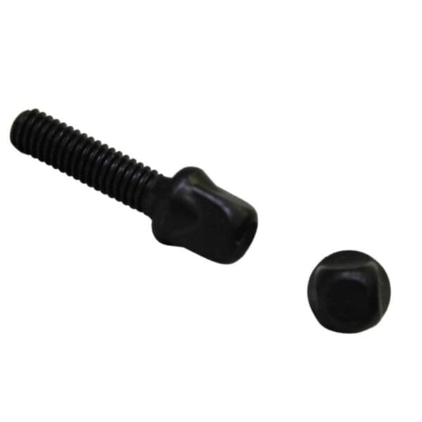 A black screw and nut on a white background.