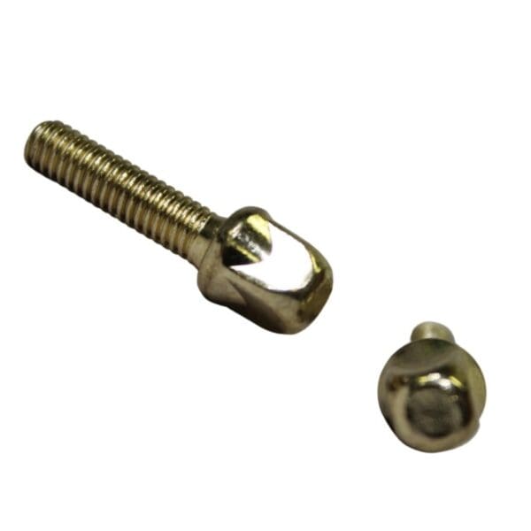 A screw and nut on a white background.