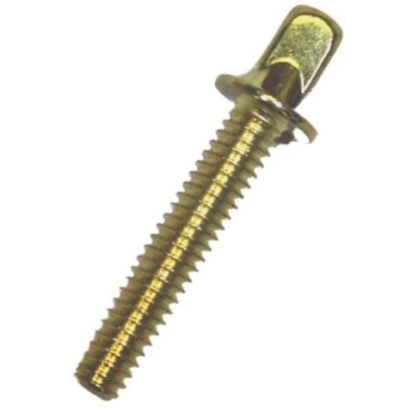 A brass screw on a white background.